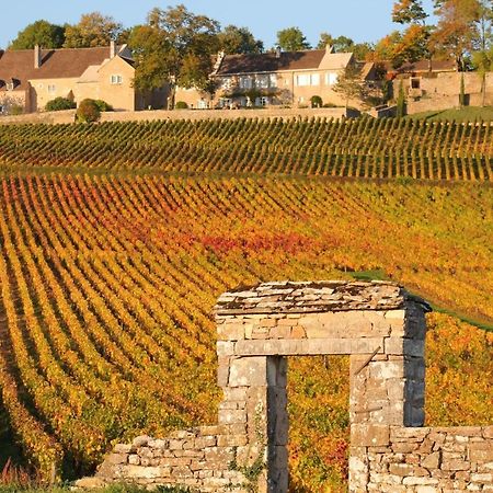 Le Nid Bourguignon Hotel Chalon-sur-Saone Bagian luar foto