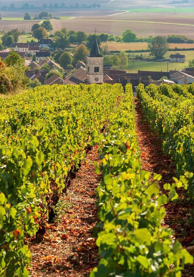 Le Nid Bourguignon Hotel Chalon-sur-Saone Bagian luar foto