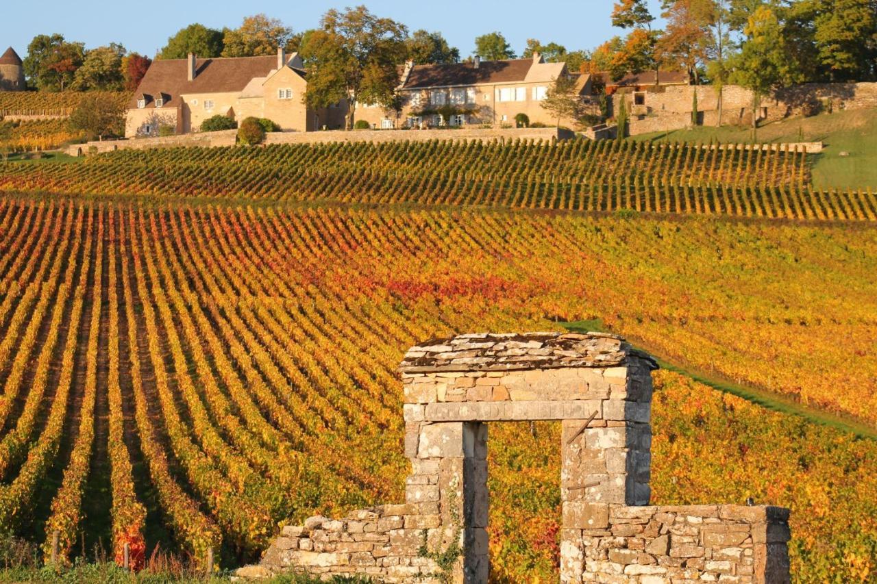 Le Nid Bourguignon Hotel Chalon-sur-Saone Bagian luar foto